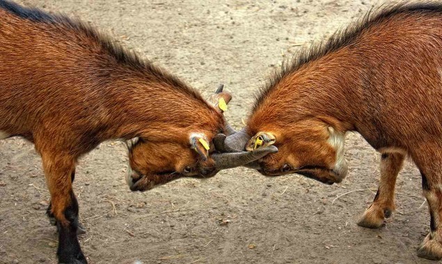 behaviors to avoid in relationship conflict